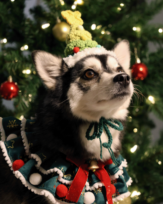 ✨Extra Knitmas Cheer✨ Handmade Christmas Tree Dog Hat