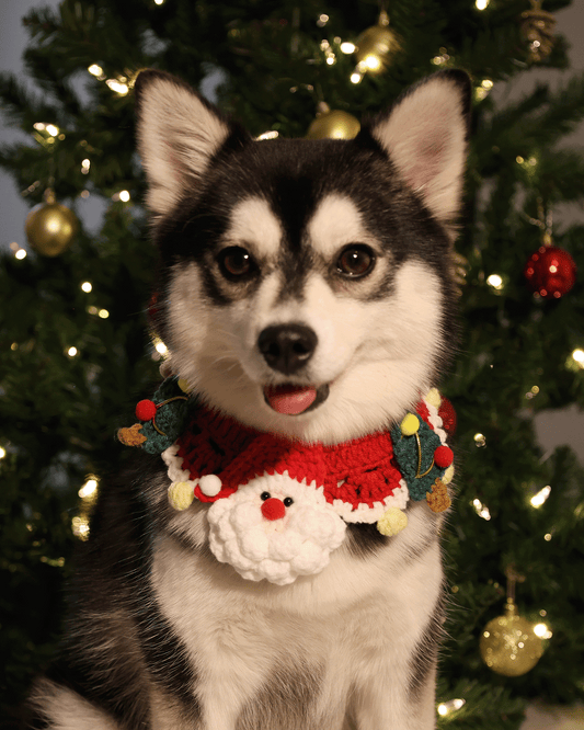 ✨Extra Knitmas Cheer✨ Festive Knitted Christmas Bandana for Small Dogs and Cats